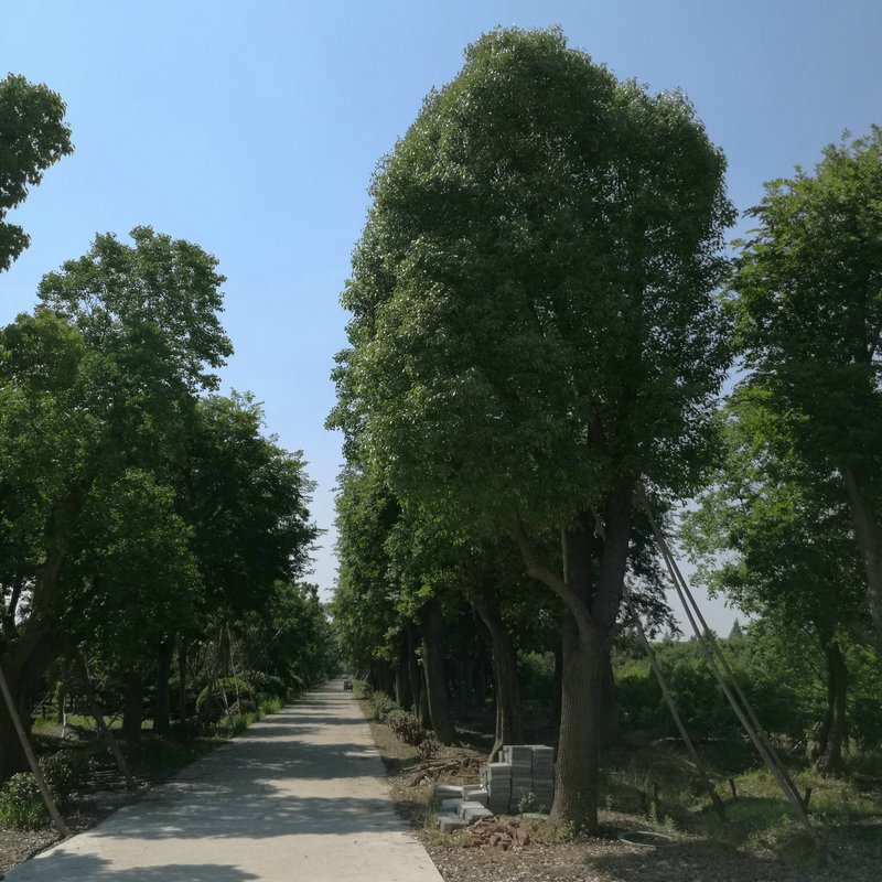 &#19975;&#35937;&#22478;&#22312;&#32447;&#45;&#19975;&#35937;&#22478;&#22312;&#32447;&#40;&#20013;&#22269;&#41;